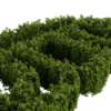 Rough Hedge 1m