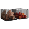 Food Shelving 13