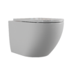 Wall-Mounted Toilet 01