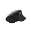 Computer Mouse 01
