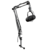 Rigged Microphone 02