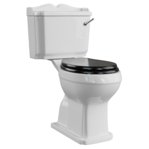 Traditional Toilet 02