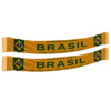 Team Banner Brazil 01