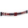 Team Banner England 01