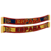 Team Banner Spain 01