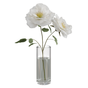 Yorkshire Rose 01